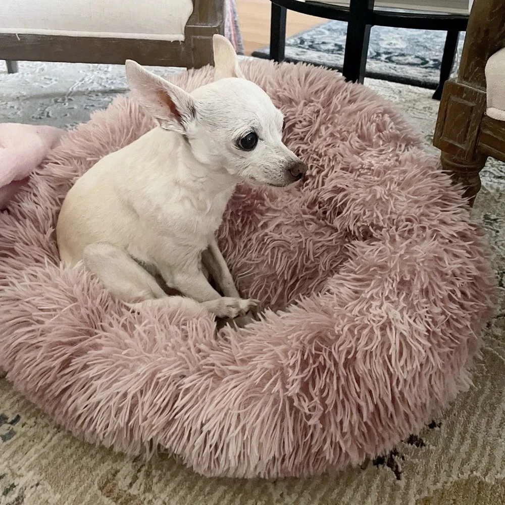 Vivaglory | NWT Small Pink Round Doggy Bed